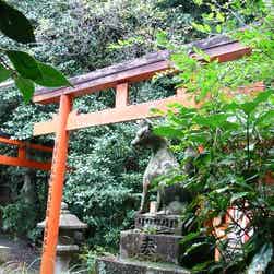 トリップアドバイザー提供