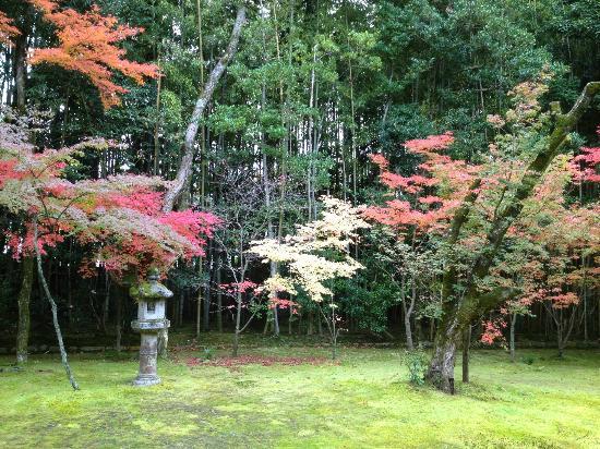 トリップアドバイザー提供