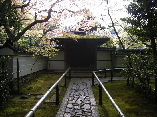 トリップアドバイザー提供