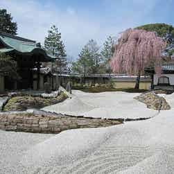 トリップアドバイザー提供