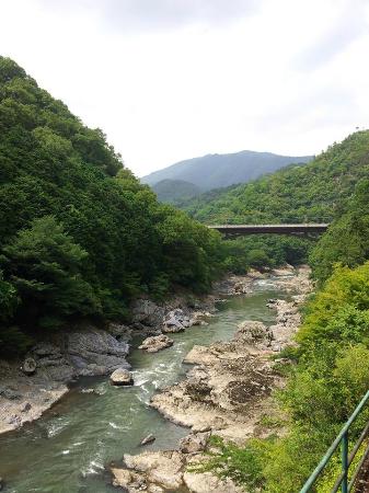 トリップアドバイザー提供