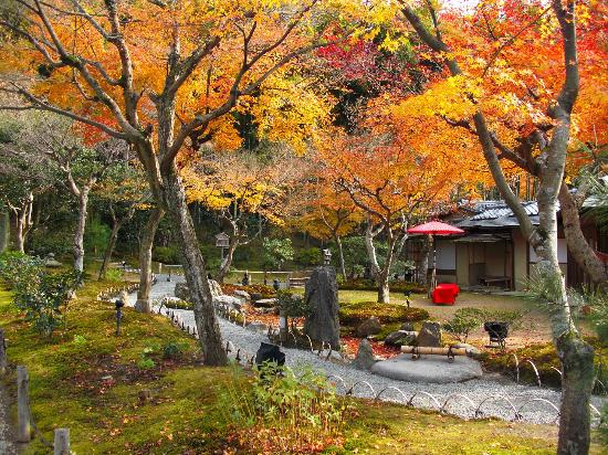 トリップアドバイザー提供