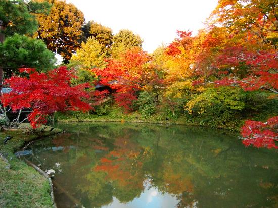 トリップアドバイザー提供
