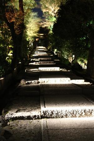 トリップアドバイザー提供