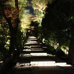 トリップアドバイザー提供