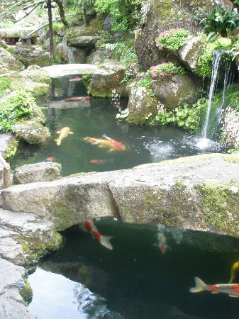 トリップアドバイザー提供