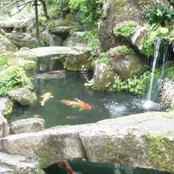 トリップアドバイザー提供