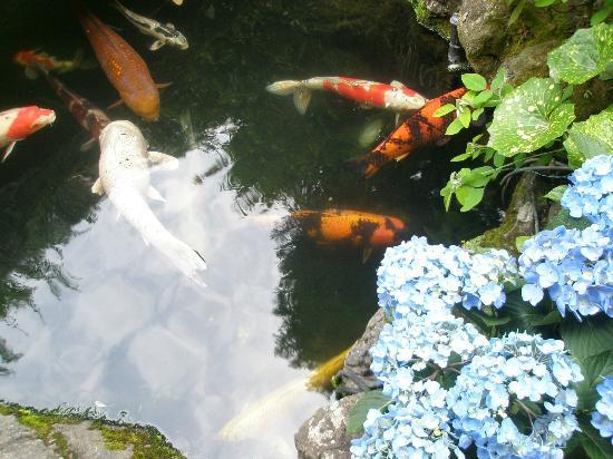 トリップアドバイザー提供