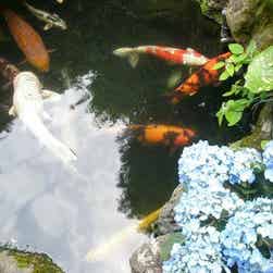 トリップアドバイザー提供