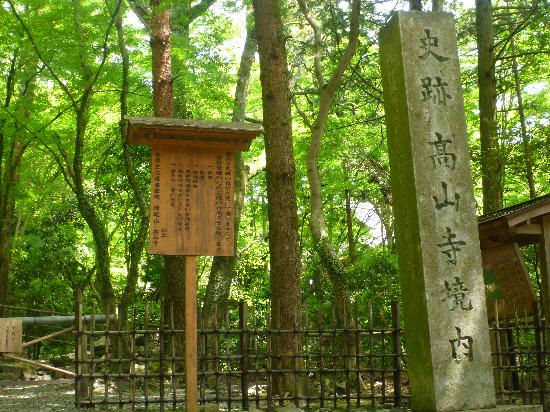 トリップアドバイザー提供