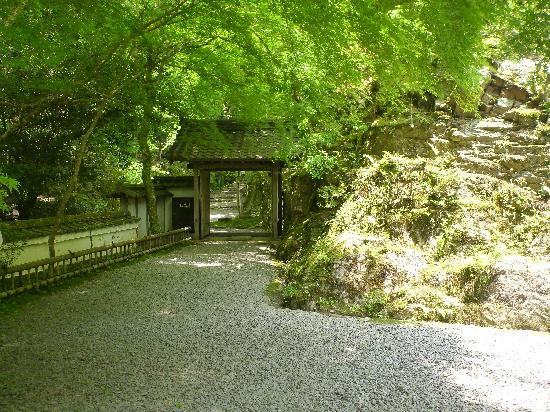 トリップアドバイザー提供