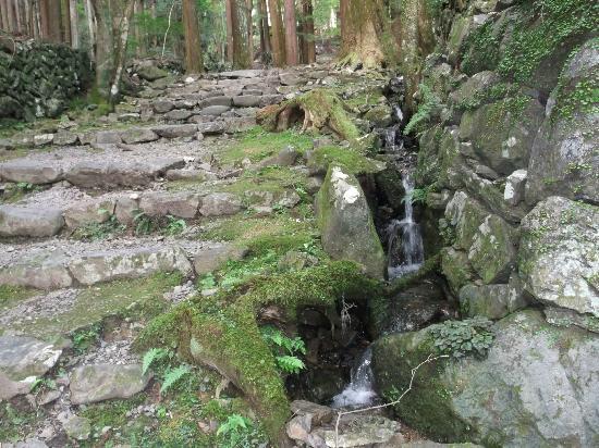 トリップアドバイザー提供