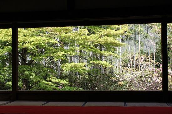 トリップアドバイザー提供