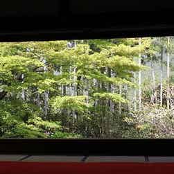 トリップアドバイザー提供