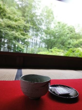 トリップアドバイザー提供