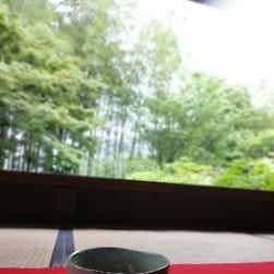 トリップアドバイザー提供