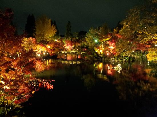 トリップアドバイザー提供