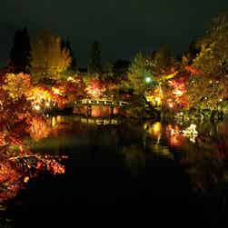 トリップアドバイザー提供