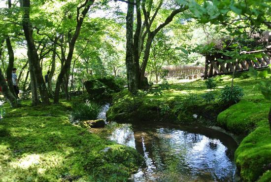 トリップアドバイザー提供