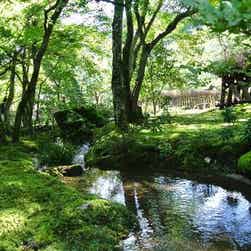 トリップアドバイザー提供