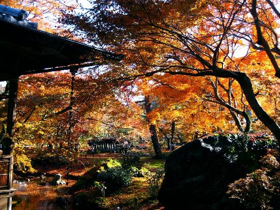 トリップアドバイザー提供