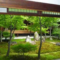 トリップアドバイザー提供