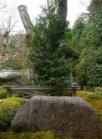 トリップアドバイザー提供