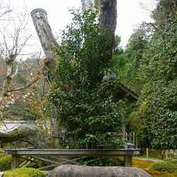 トリップアドバイザー提供