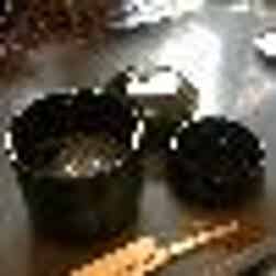 トリップアドバイザー提供