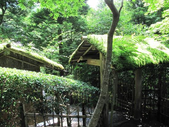 トリップアドバイザー提供