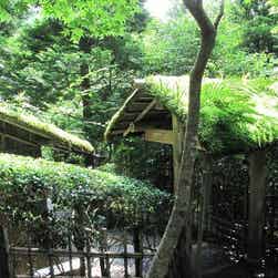 トリップアドバイザー提供