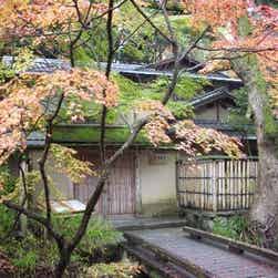 トリップアドバイザー提供