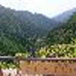 トリップアドバイザー提供