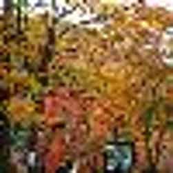 トリップアドバイザー提供