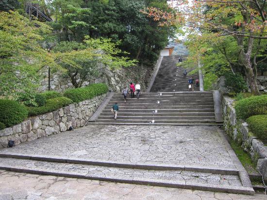 トリップアドバイザー提供