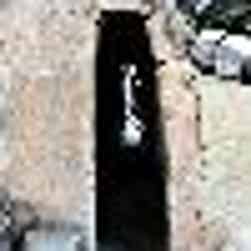 トリップアドバイザー提供