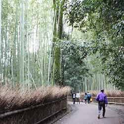 トリップアドバイザー提供