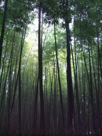 トリップアドバイザー提供