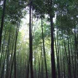 トリップアドバイザー提供