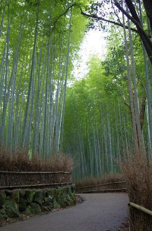 トリップアドバイザー提供