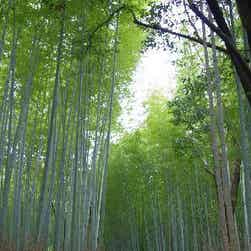 トリップアドバイザー提供