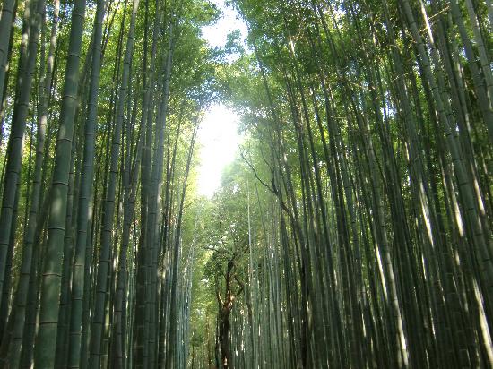 トリップアドバイザー提供