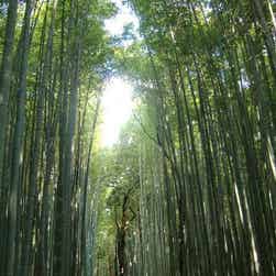 トリップアドバイザー提供