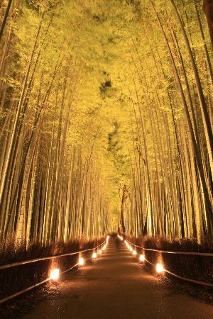 トリップアドバイザー提供