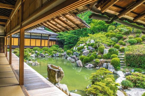 トリップアドバイザー提供