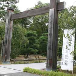 トリップアドバイザー提供