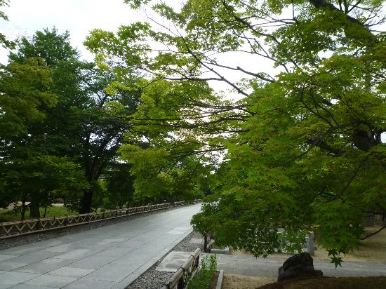 トリップアドバイザー提供