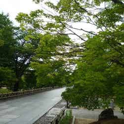 トリップアドバイザー提供