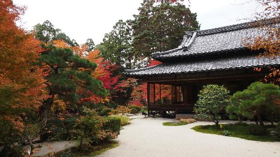 トリップアドバイザー提供