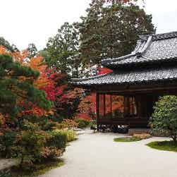 トリップアドバイザー提供